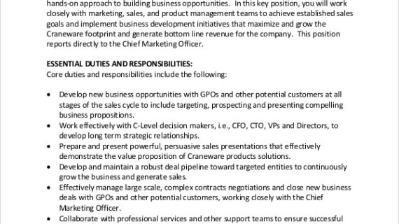 Inilah Marketing & Business Development Manager Job Description Terpecaya