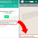 Penting! Kirim Pesan Whatsapp Tanpa Save Nomor Wajib Kamu Ketahui